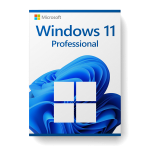 Microsoft Windows 11 Professional License for 3 devices